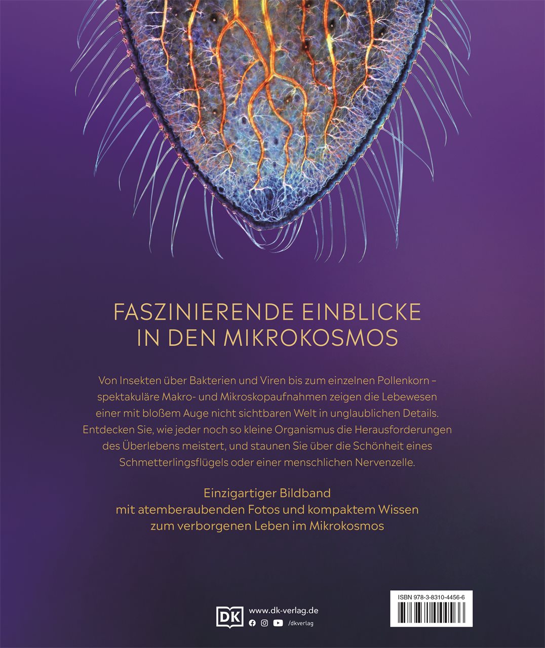 Mikrokosmos - Wunderwelt der kleinsten Lebewesen