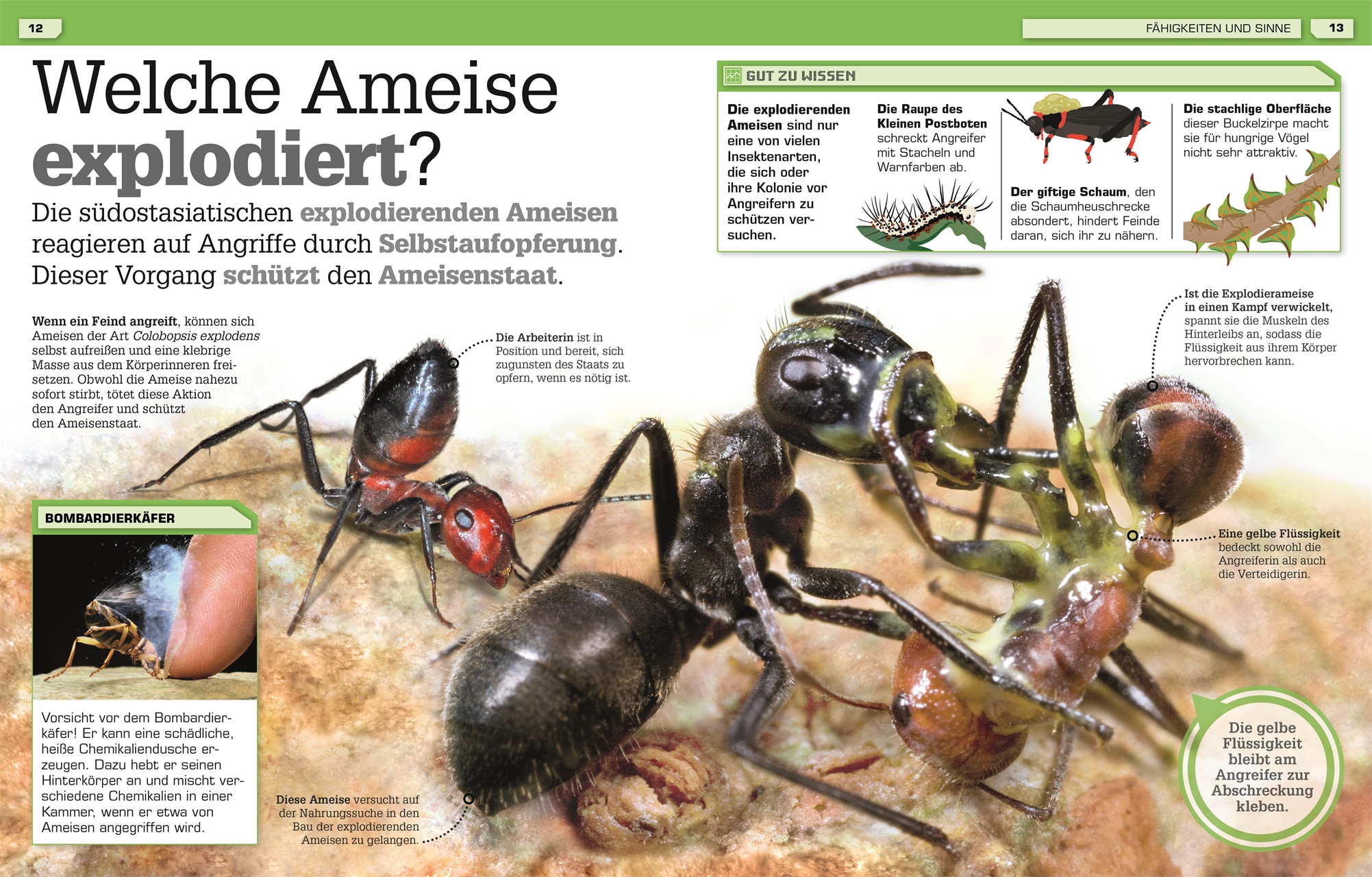 Total verrückte Tiere