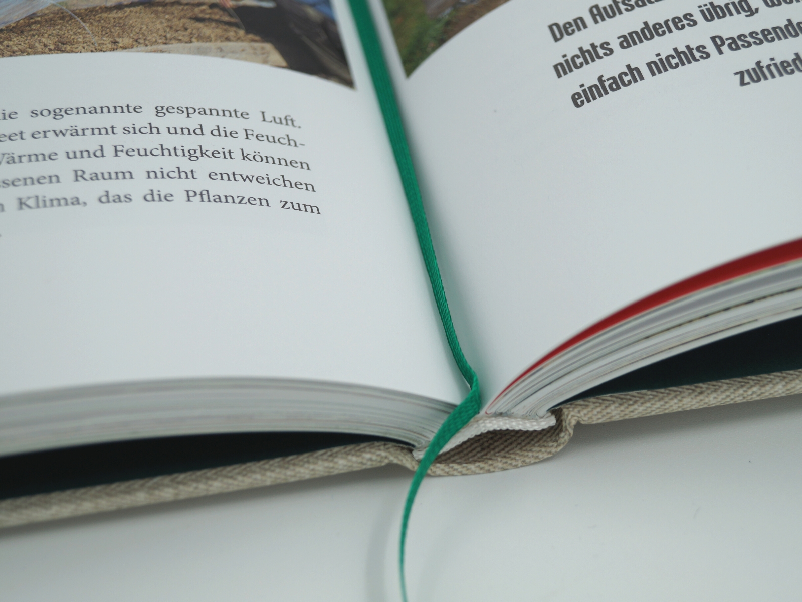 MDR Garten - Heiß auf Gemüse