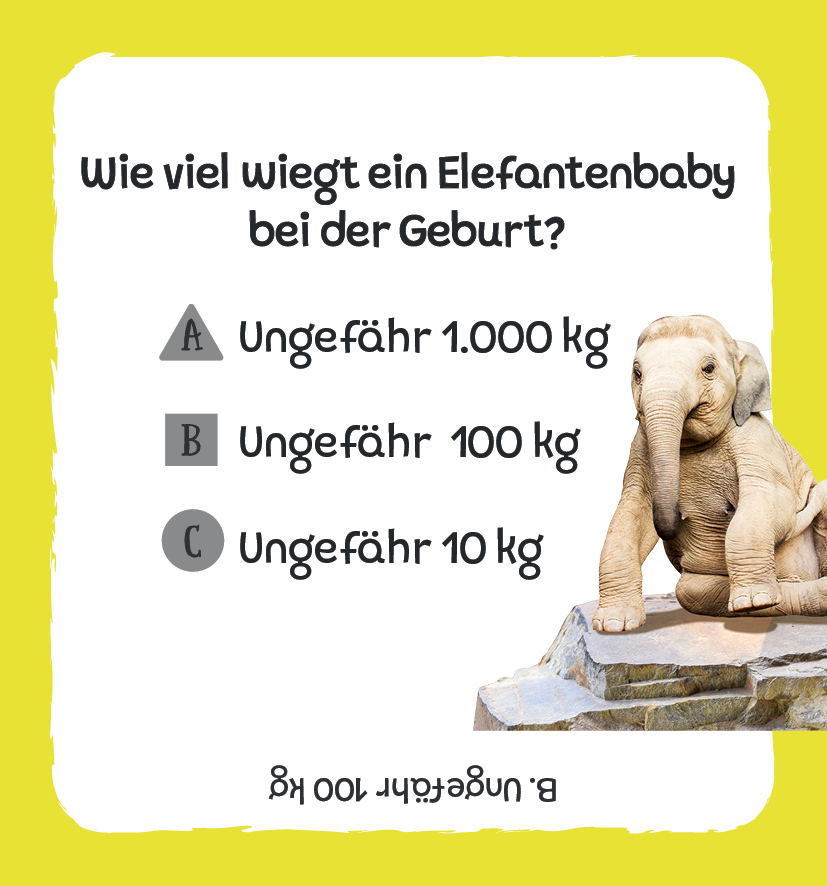 Kartenbox: Das große Quiz – Tiere Kartenbox: Das große Quiz – Tiere