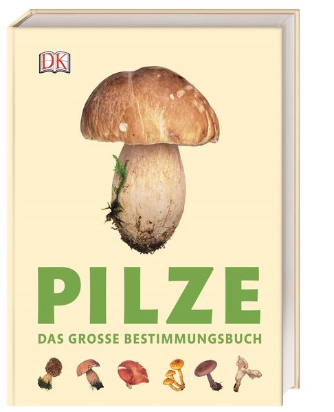 Pilze