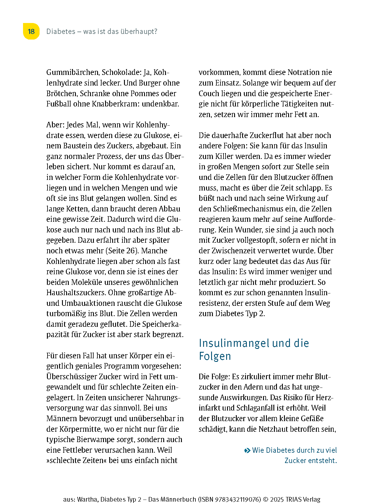 Diabetes Typ 2 - Das Männerbuch