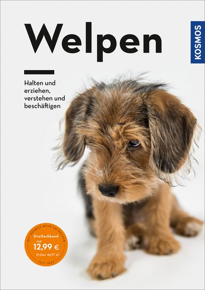 Welpen Welpen