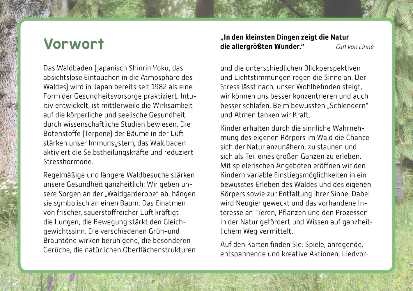 Raus in den Wald! Raus in den Wald!
