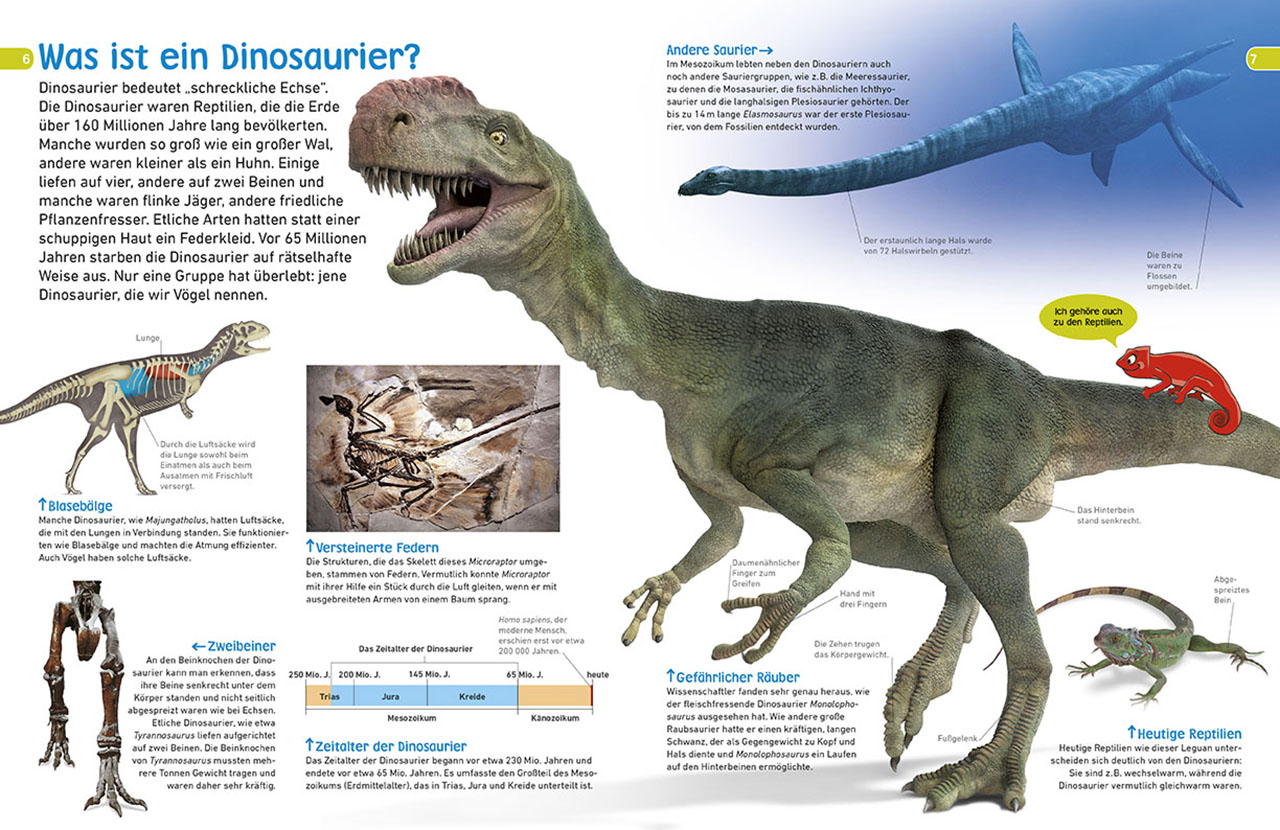 memo Wissen entdecken. Dinosaurier