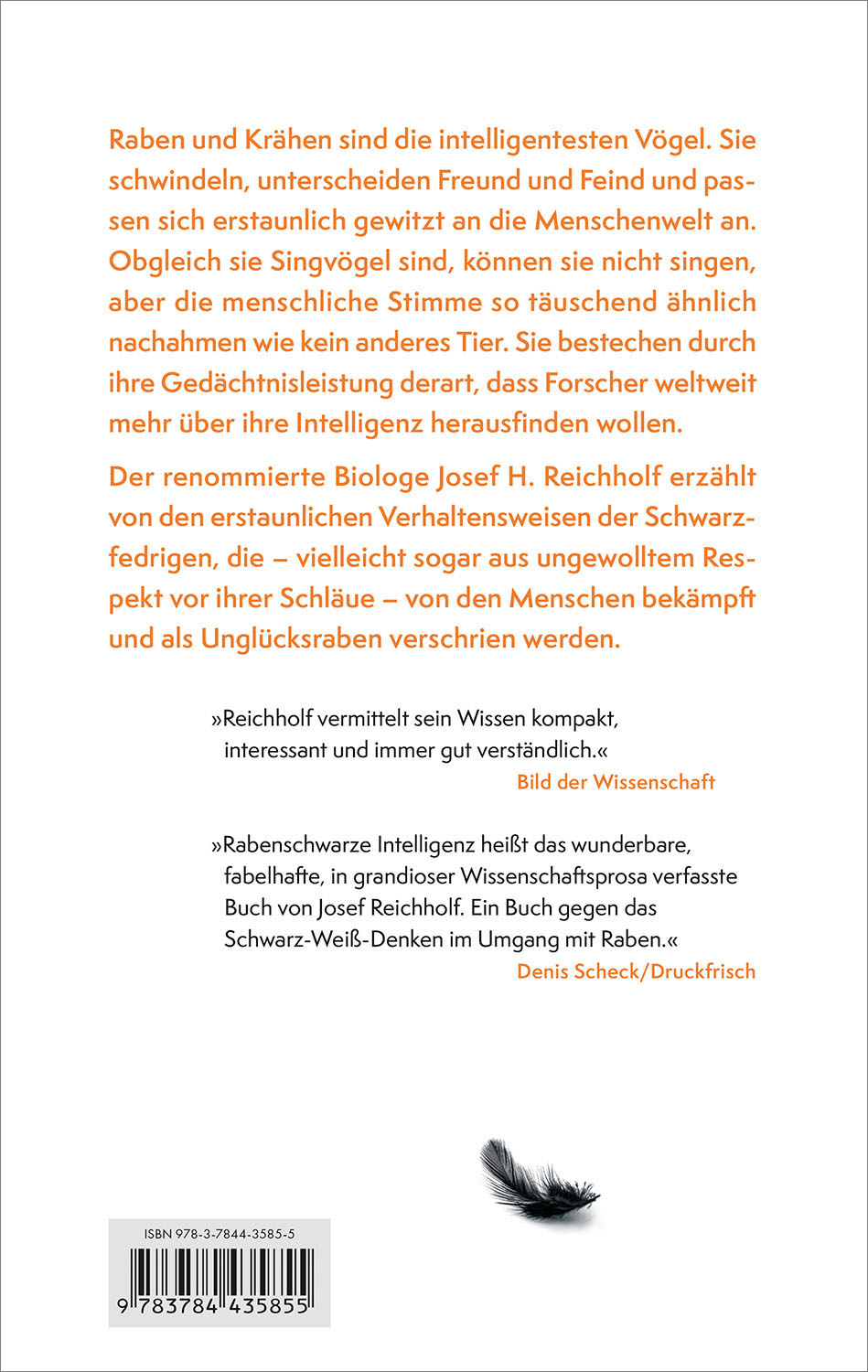 Rabenschwarze Intelligenz