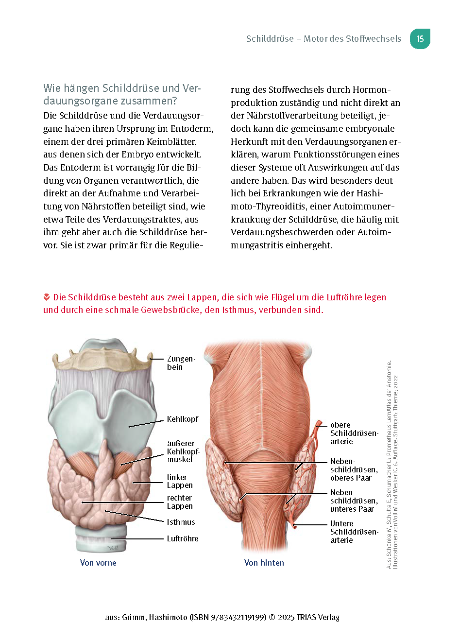 Naturheilpraxis: Hashimoto
