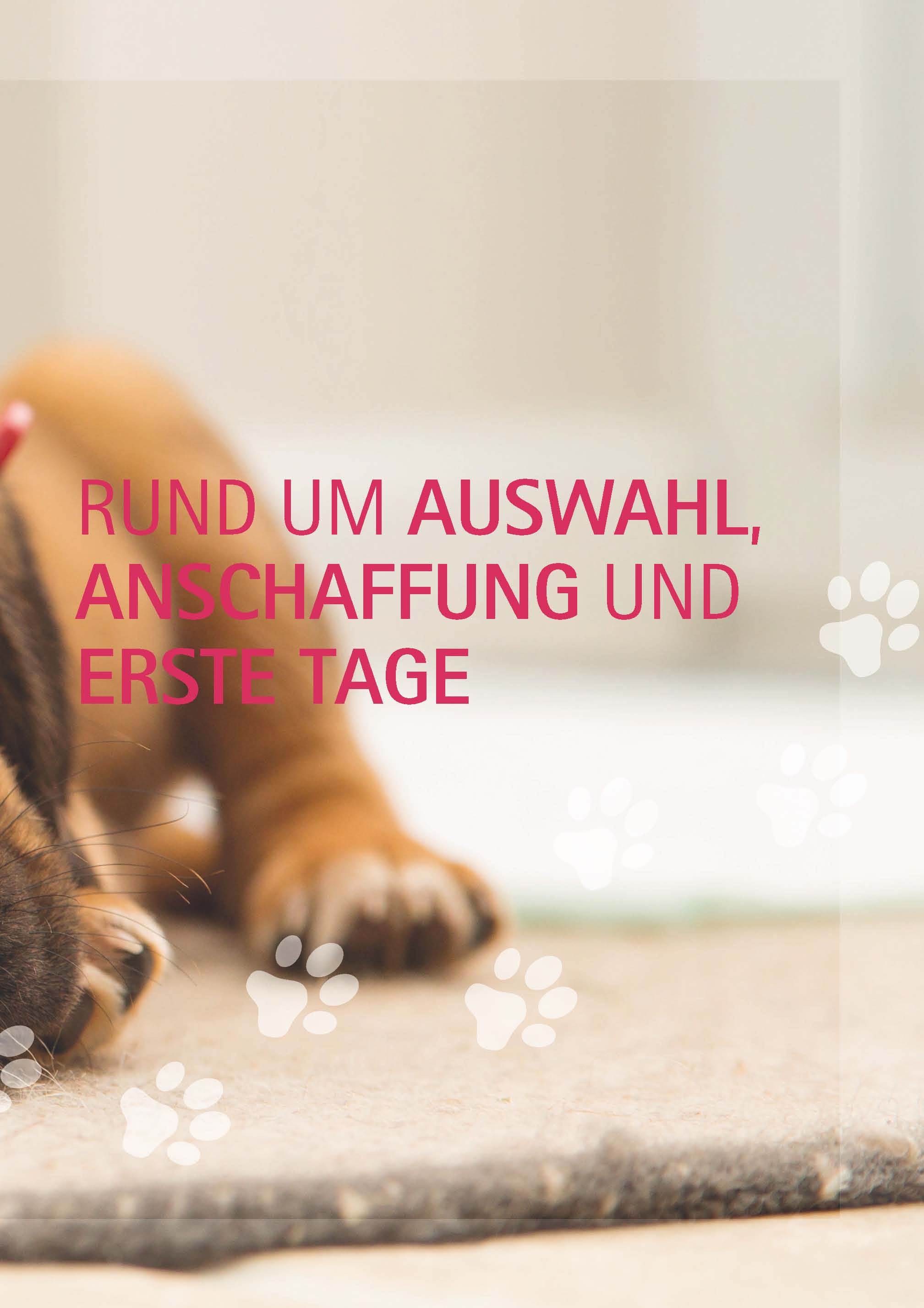 Ein Hund und 1000 Fragen