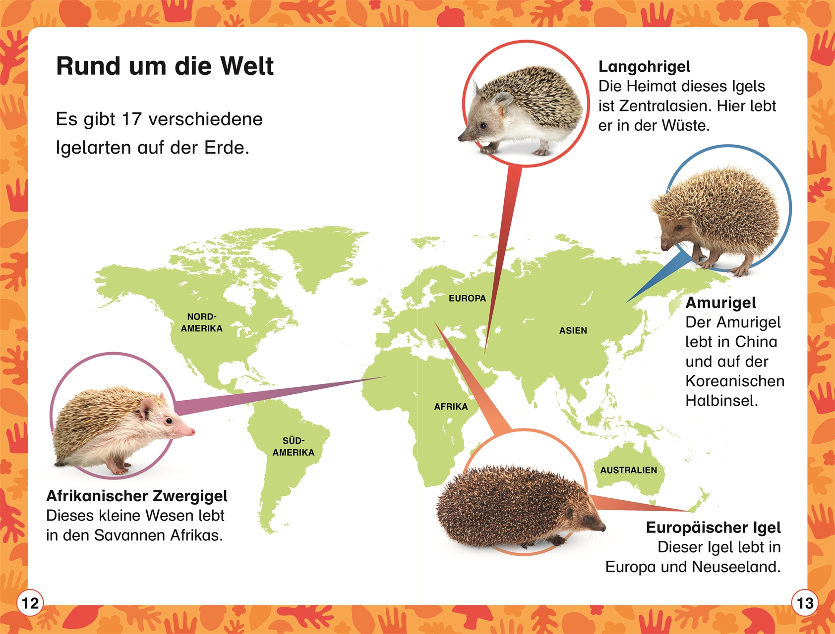 SUPERLESER! Hallo, Igel! SUPERLESER! Hallo, Igel!