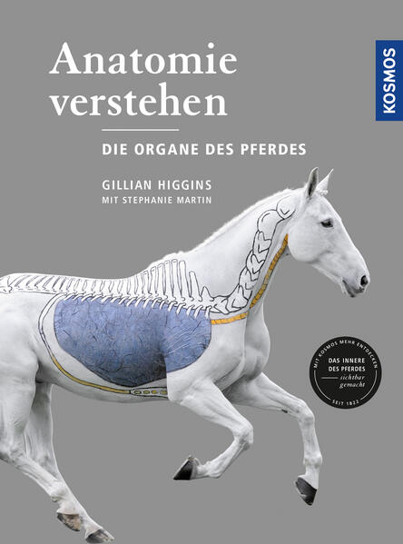 Anatomie verstehen - Die Organe des Pferdes Anatomie verstehen - Die Organe des Pferdes