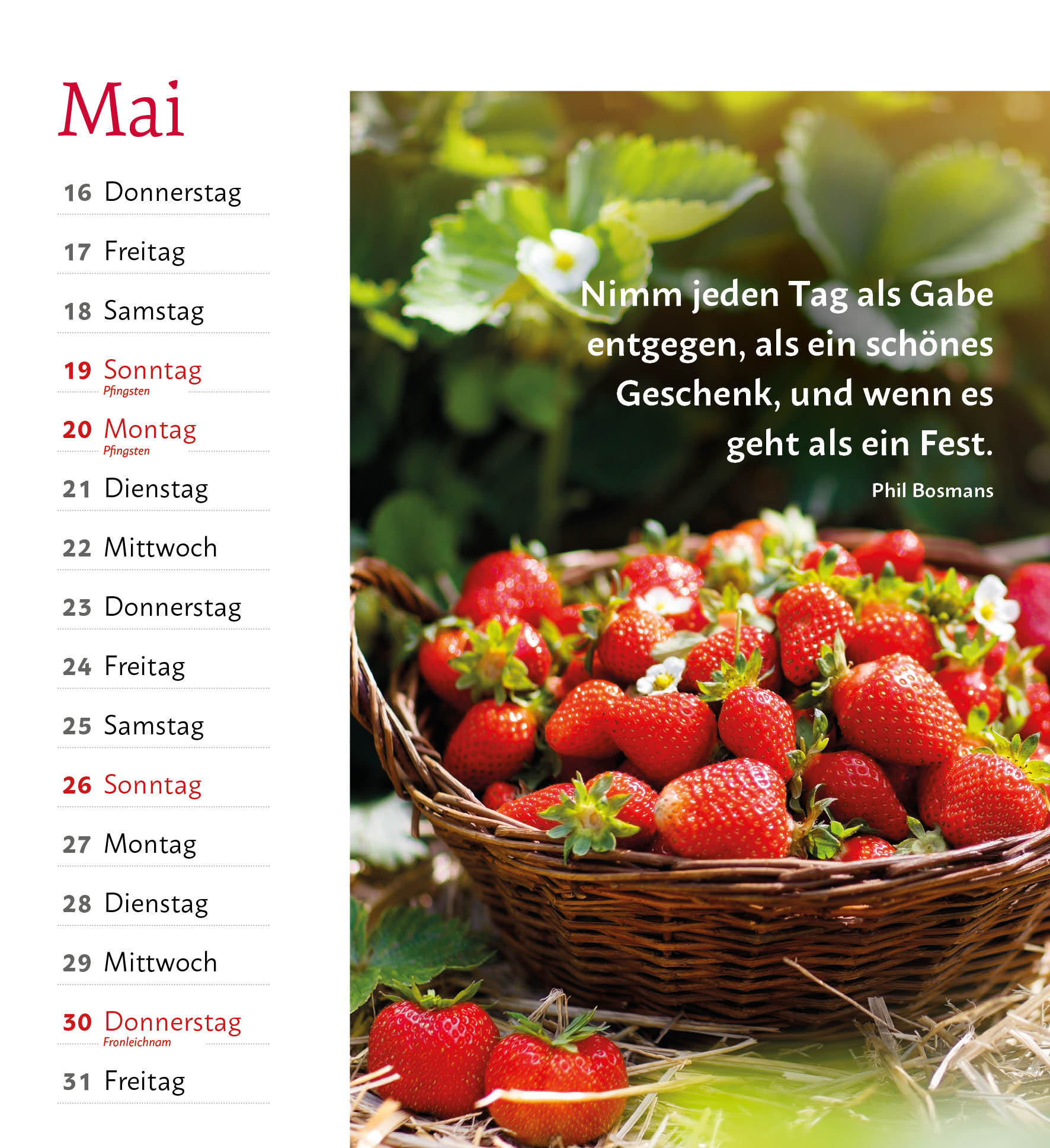 Lebensspuren Kalender 2024 Lebensspuren Kalender 2024