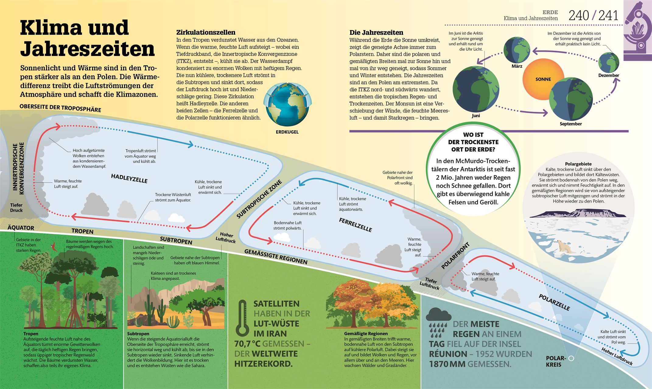 #dkinfografik. Naturwissenschaften #dkinfografik. Naturwissenschaften