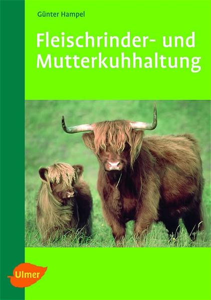 Fleischrinderzucht und Mutterkuhhaltung