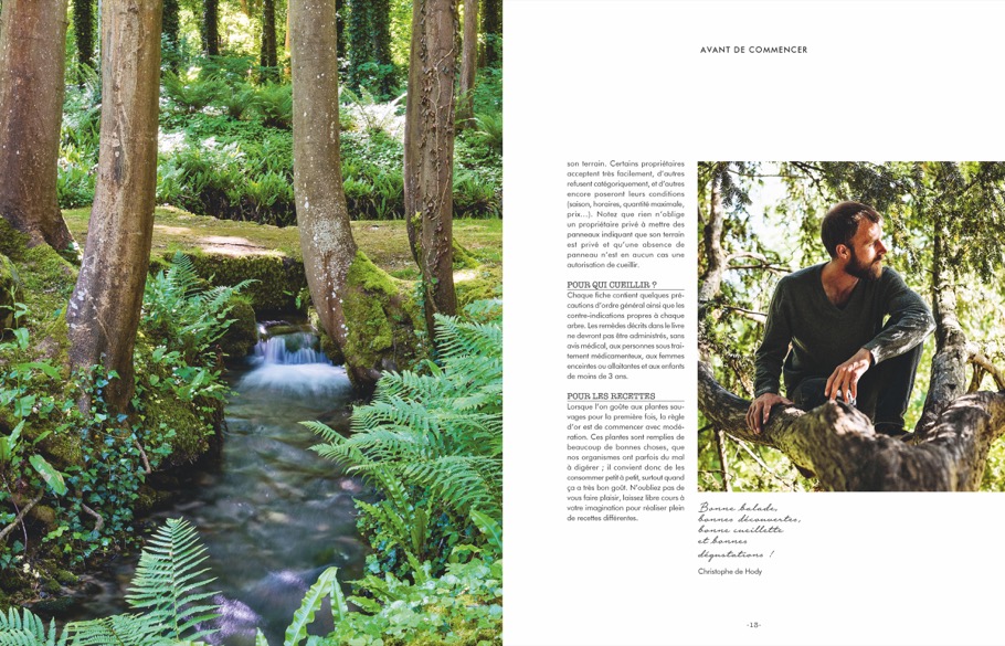 Unsere Bäume und was sie uns Gutes tun