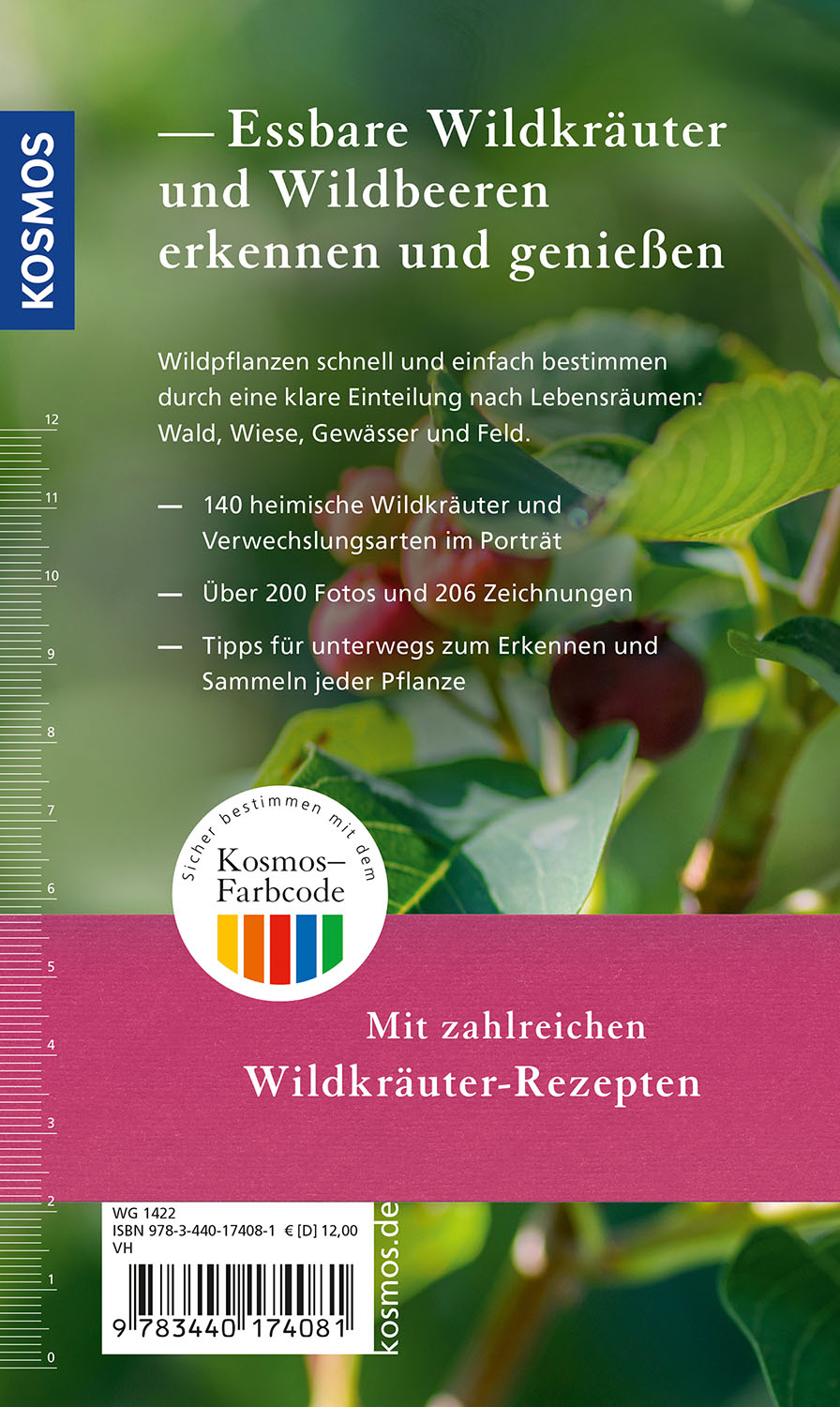 Essbare Wildkräuter und Wildbeeren für unterwegs
