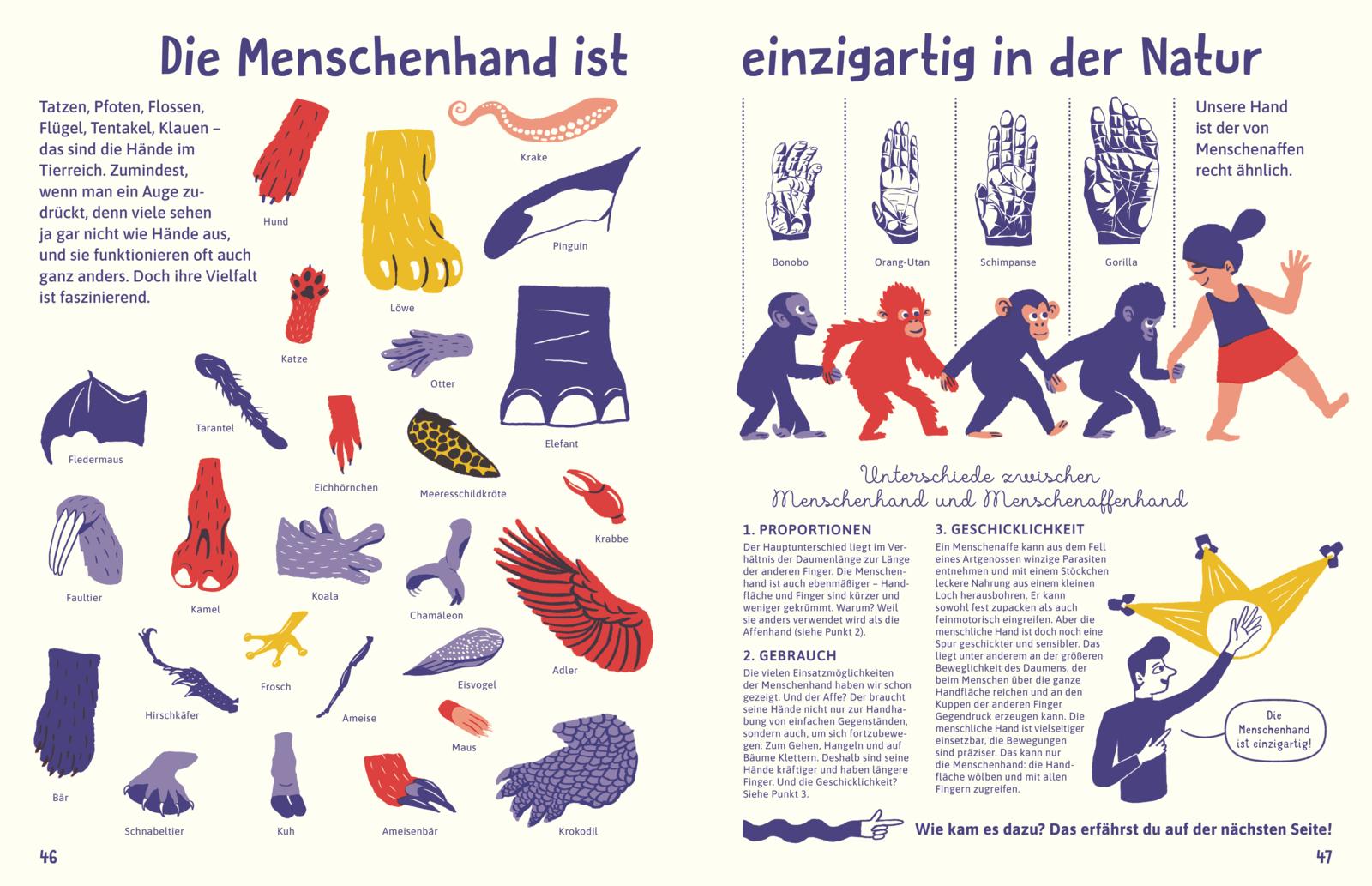 Alles über die Hand