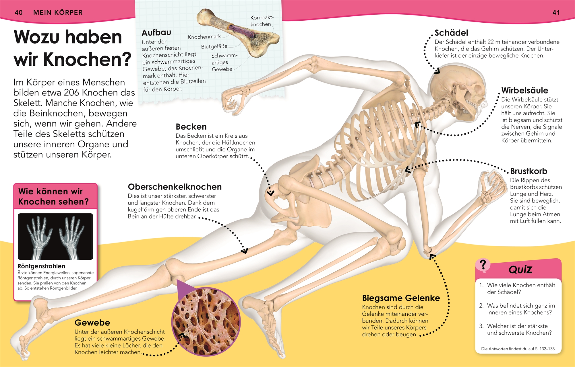 Weshalb? Deshalb! Natur und Technik