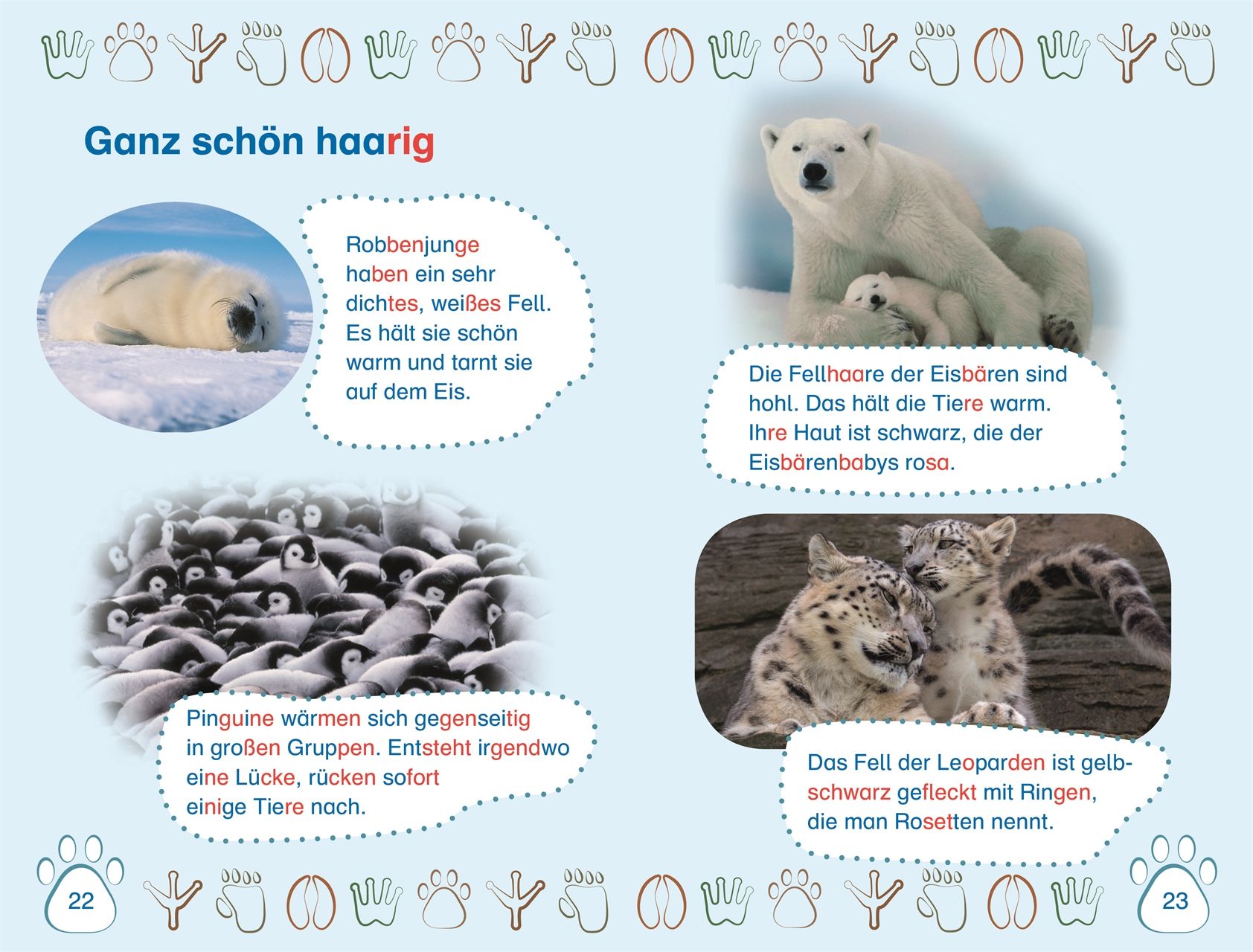 SUPERLESER! Nachwuchs bei uns im Zoo