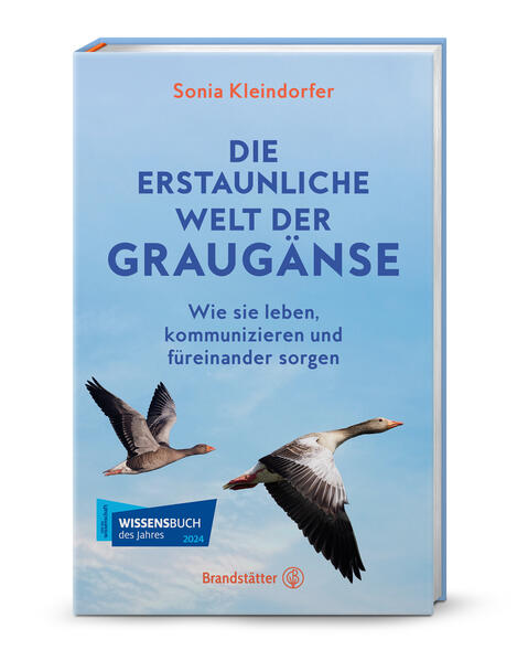 Die erstaunliche Welt der Graugänse