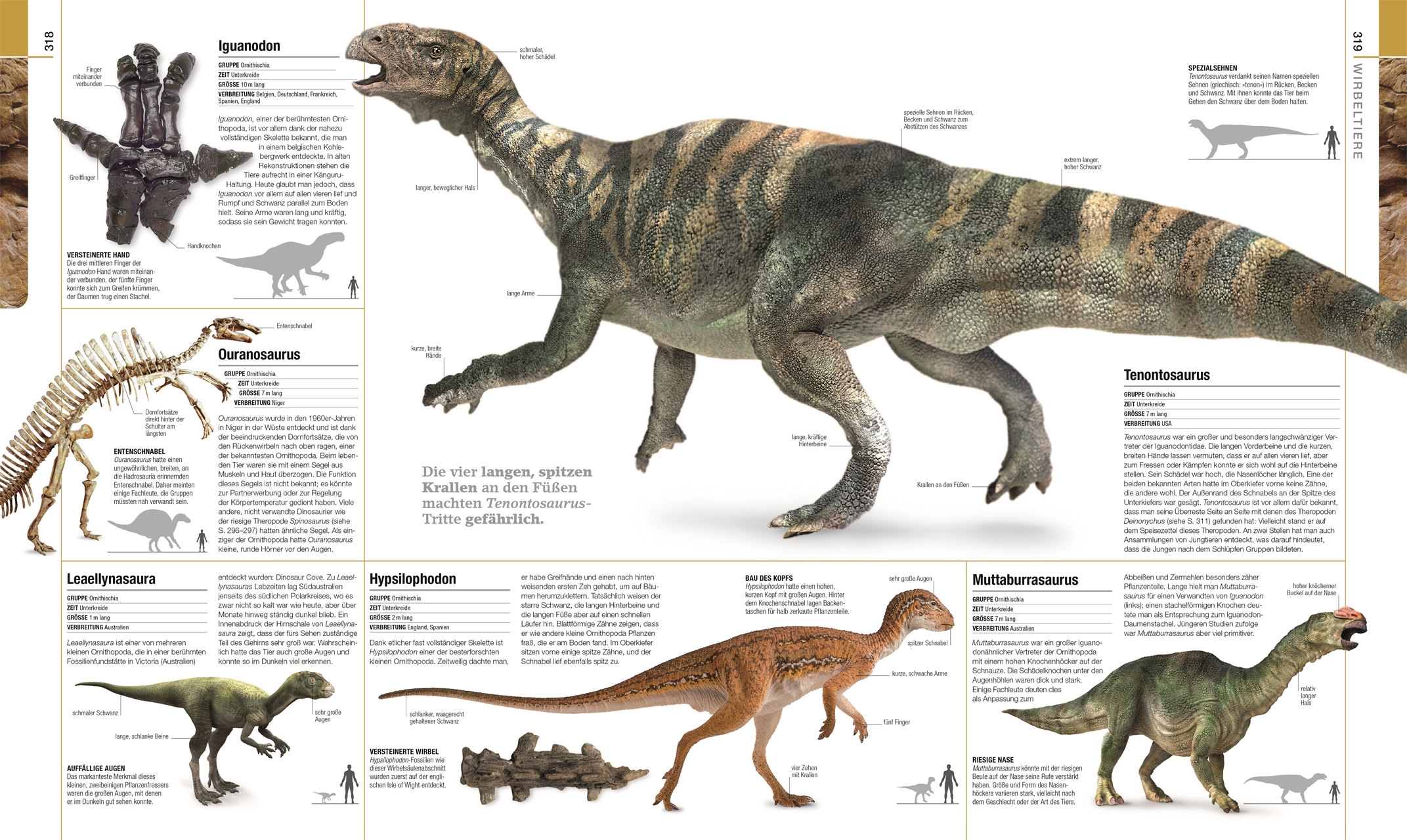 Dinosaurier und andere Lebewesen der Urzeit