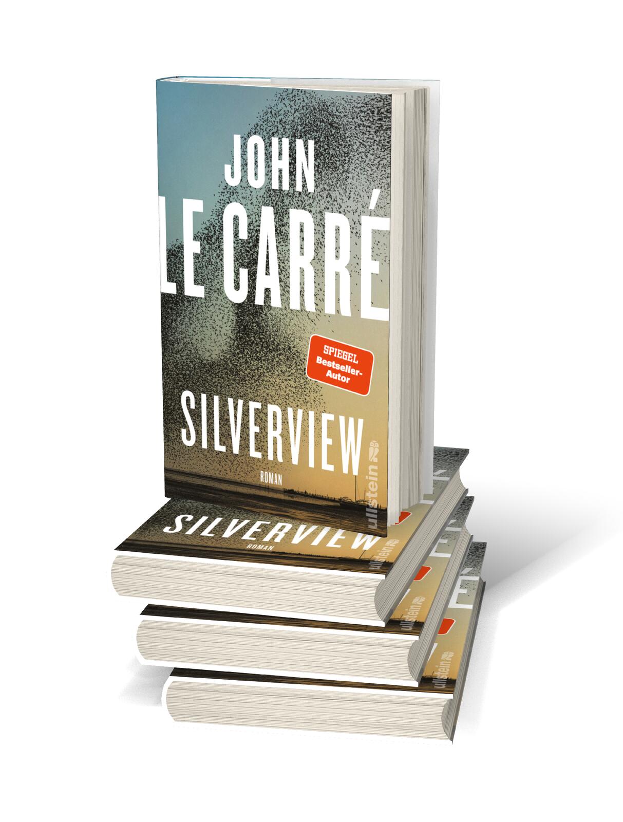 Silverview