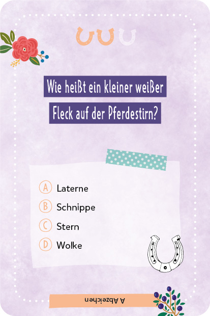 Kartenspiel: Das pferdestarke Quiz von den beliebten Social-Media-Stars Lia und Lea – # ponylife Kartenspiel: Das pferdestarke Quiz von den beliebten Social-Media-Stars Lia und Lea – # ponylife