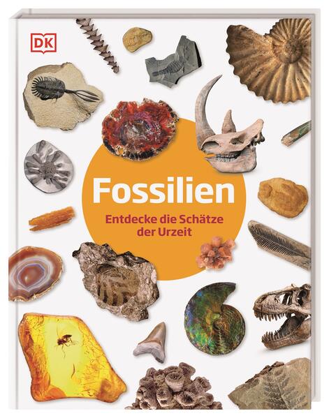 Fossilien Fossilien