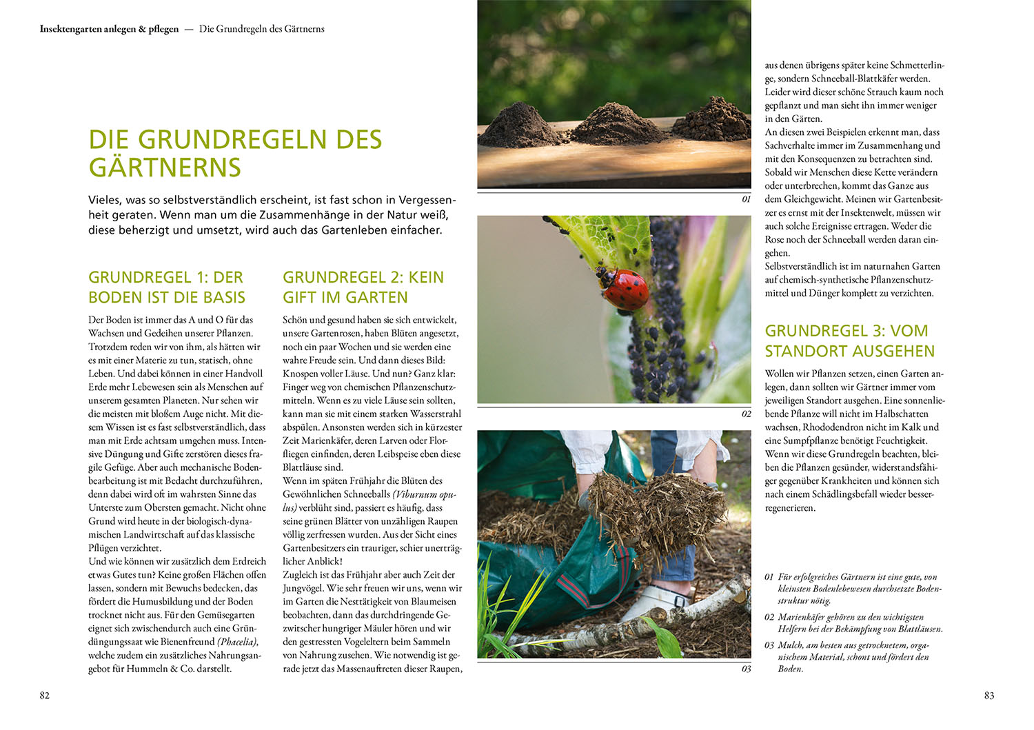 Mein Garten summt! Mein Garten summt!