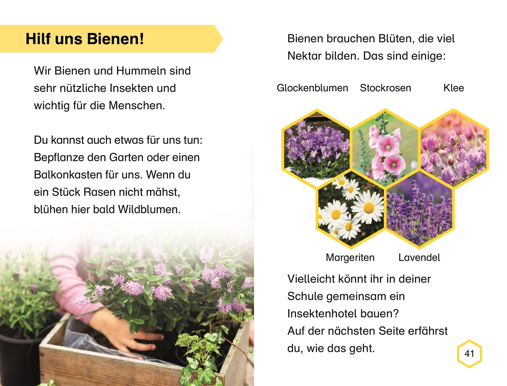 SUPERLESER! Wir brauchen die Bienen