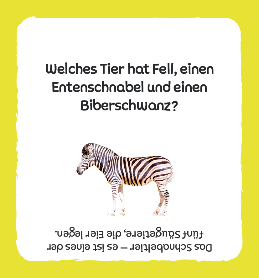 Kartenbox: Das große Quiz – Tiere Kartenbox: Das große Quiz – Tiere