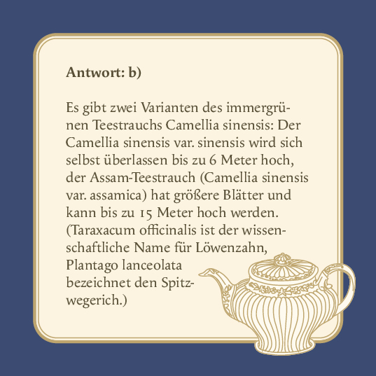 Das Tee-Quiz Das Tee-Quiz