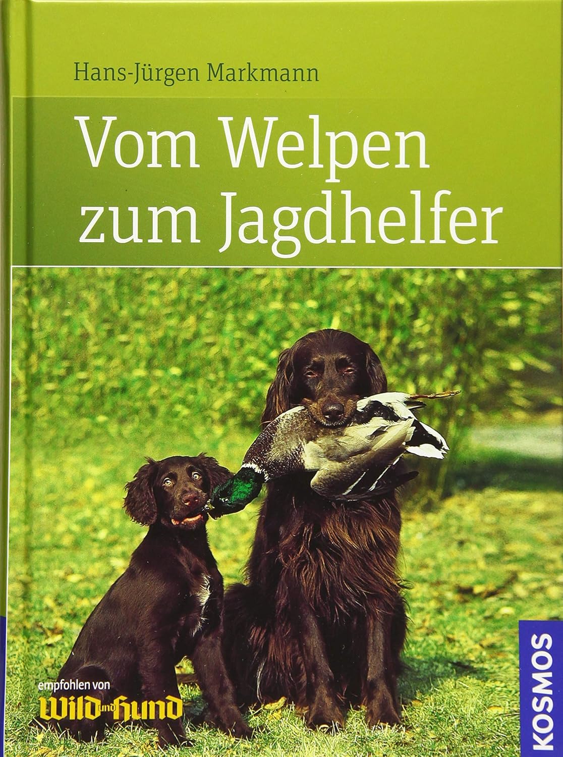 Vom Welpen zum Jagdhelfer