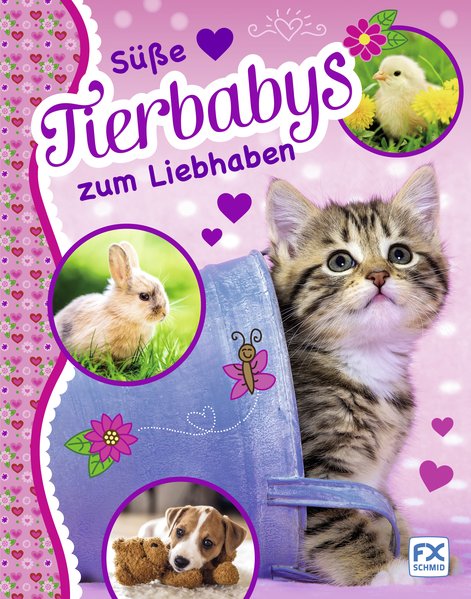 Süße Tierbabys zum Liebhaben Süße Tierbabys zum Liebhaben