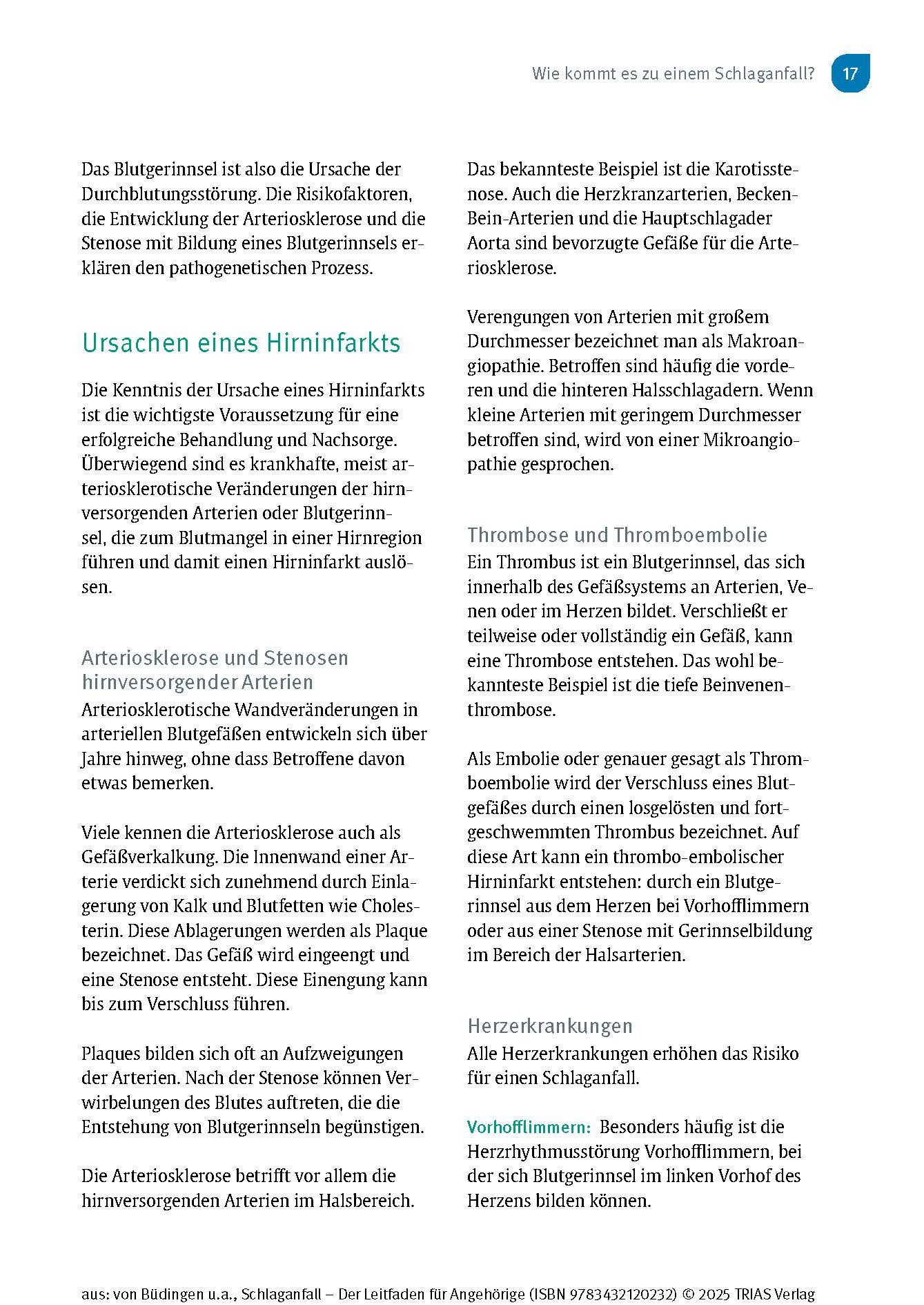 Schlaganfall - Der Leitfaden für Angehörige