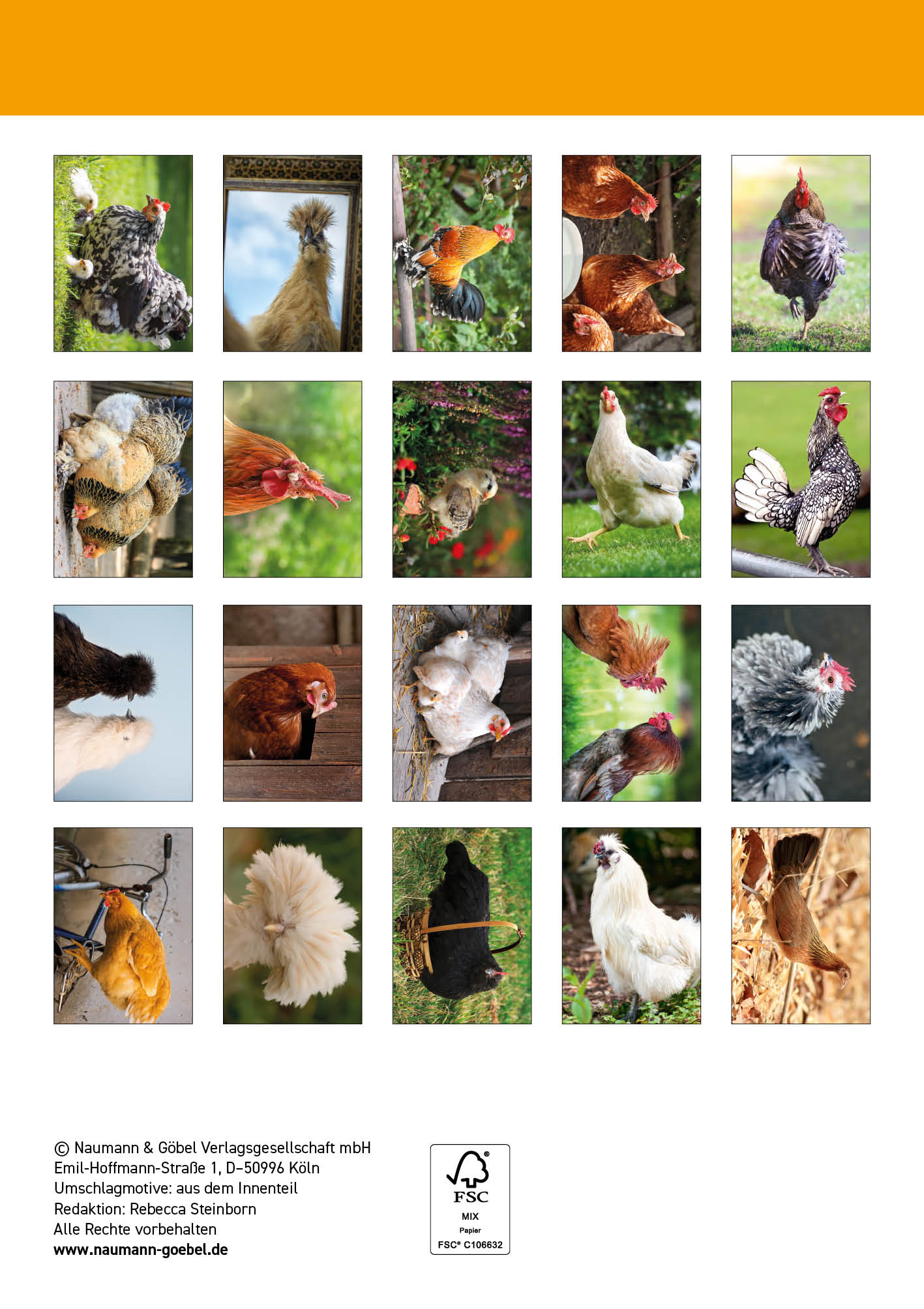 Postkartenblock Hühner