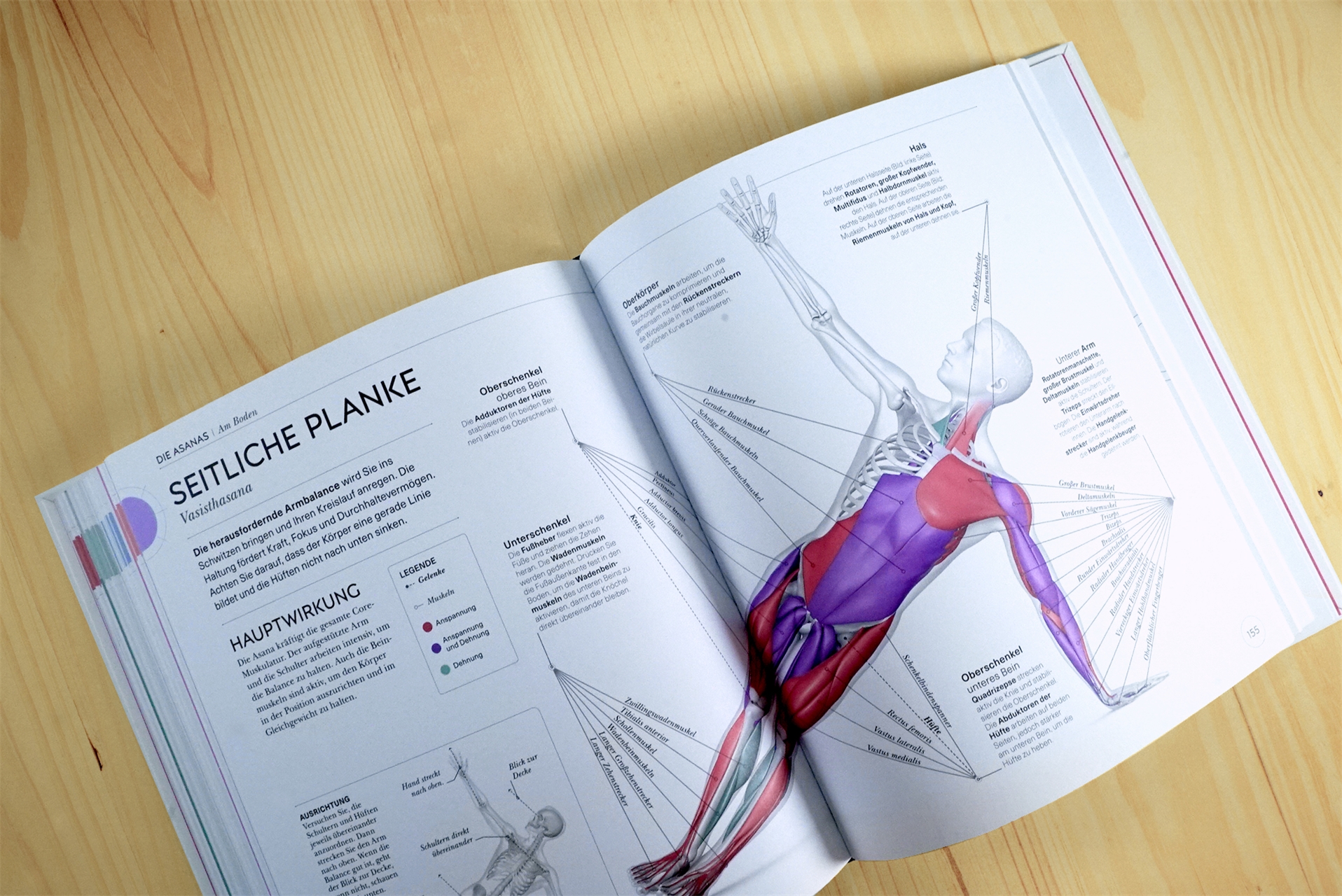 Yoga verstehen - Die Anatomie der Yoga-Haltungen