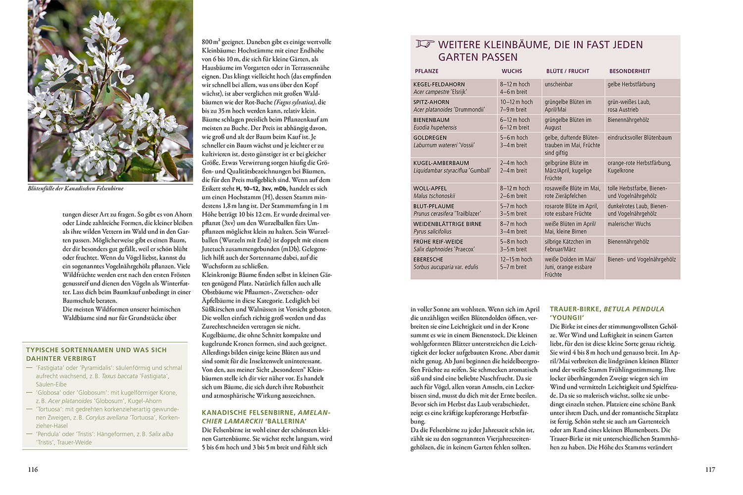 Mit dem Garten gemeinsam wachsen