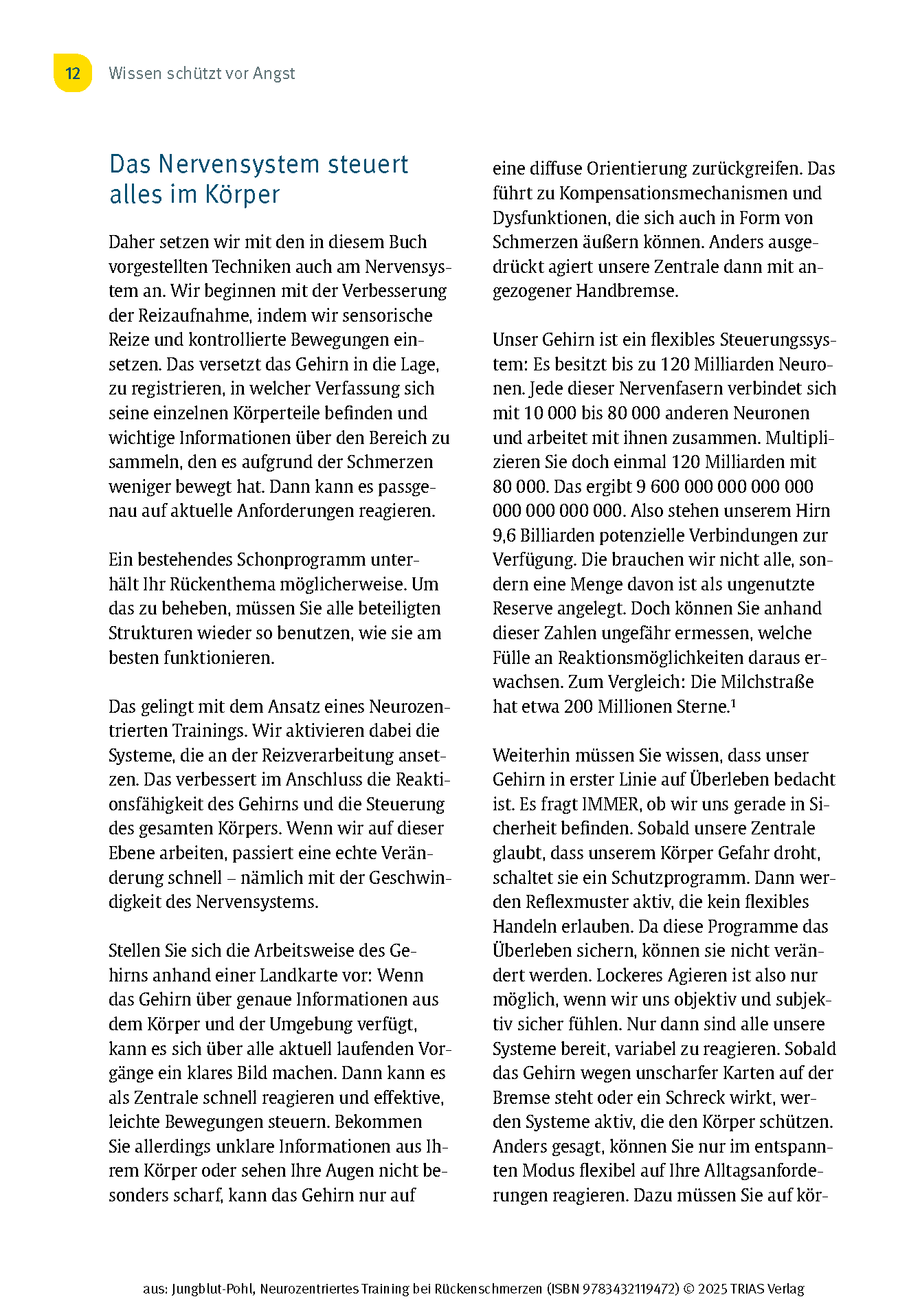 Neurozentriertes Training bei Rückenschmerzen