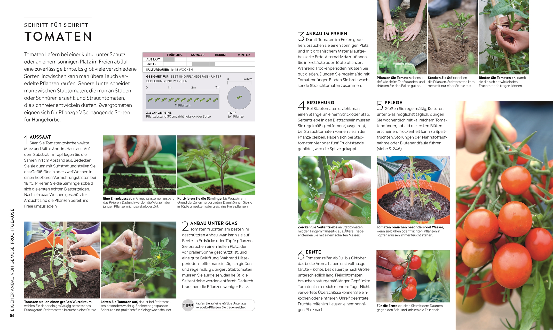 Kleiner Garten - große Ernte Kleiner Garten - große Ernte