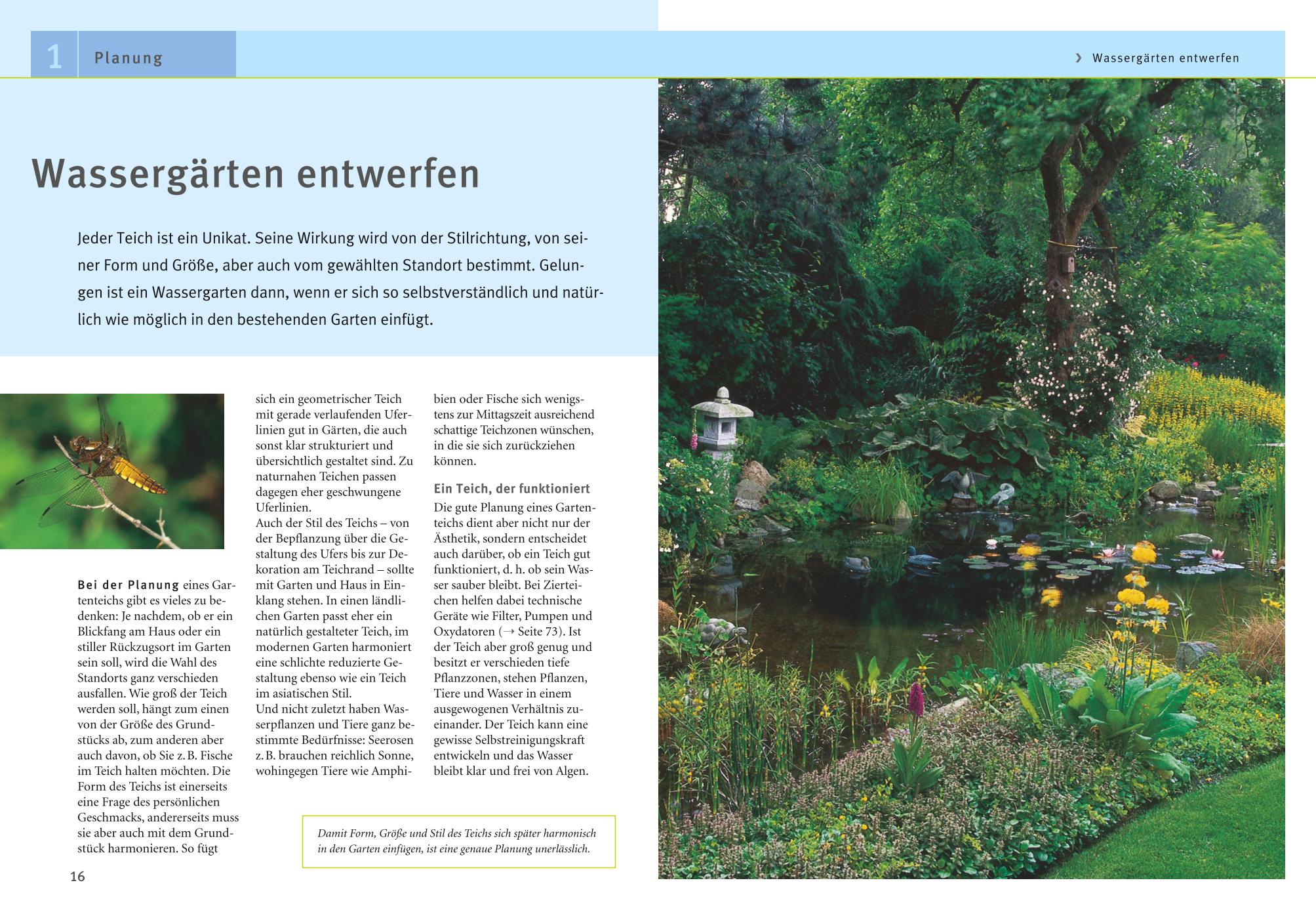 Gartenteiche anlegen und gestalten Gartenteiche anlegen und gestalten