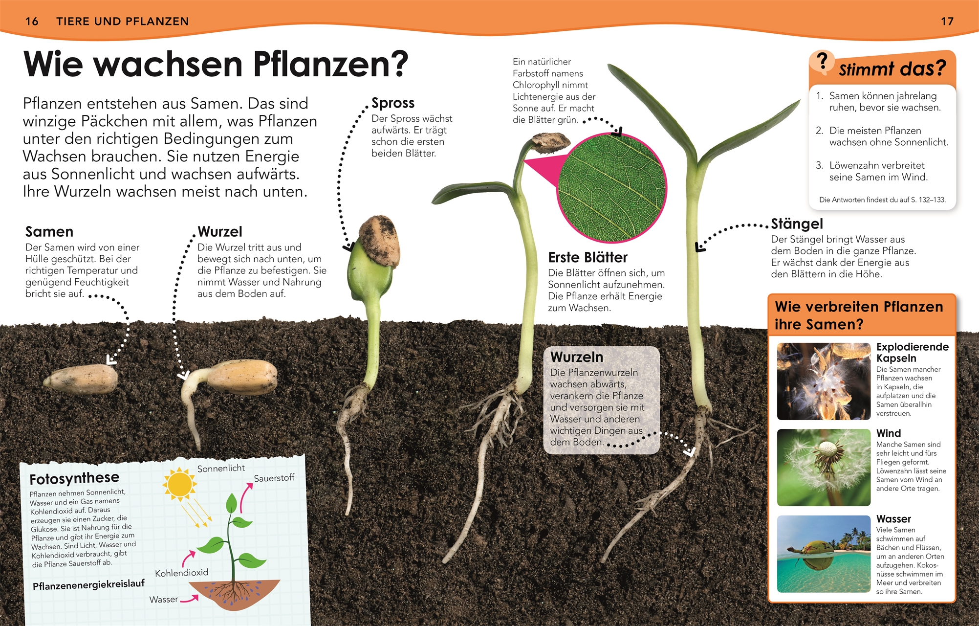 Weshalb? Deshalb! Natur und Technik