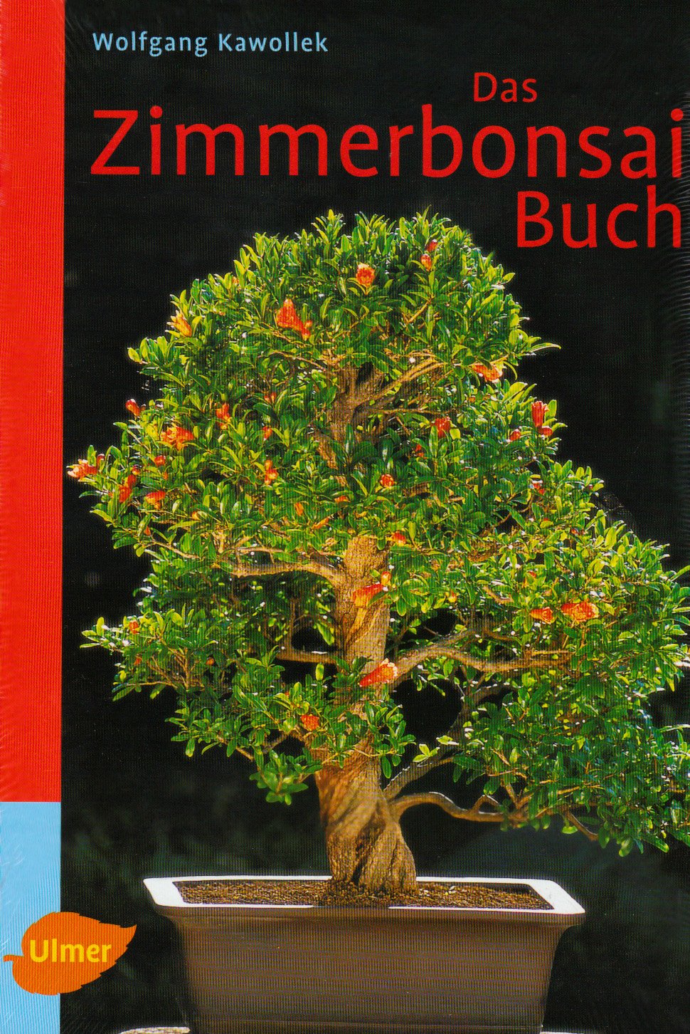 Das Zimmerbonsai-Buch