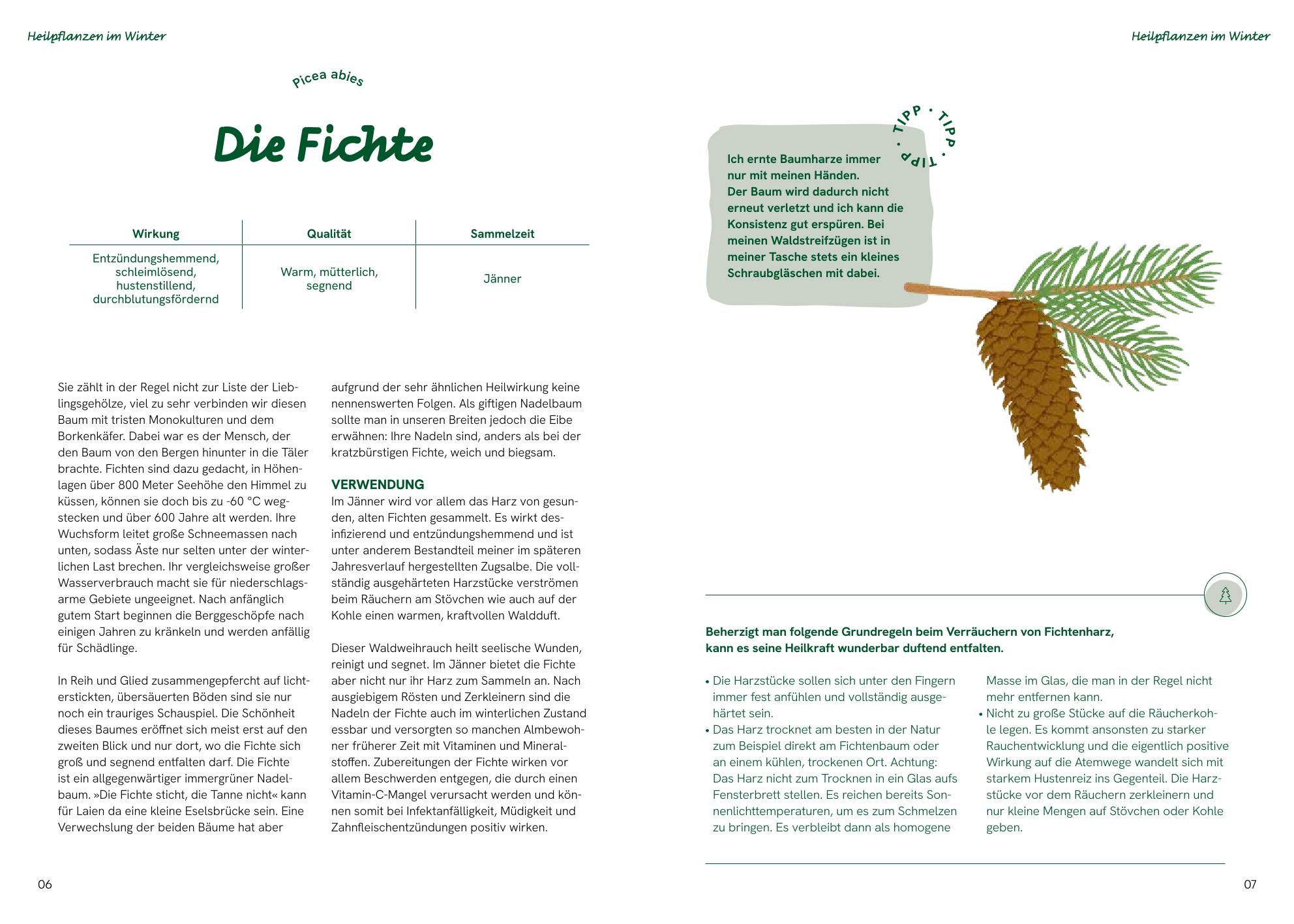 Die große Waldapotheke