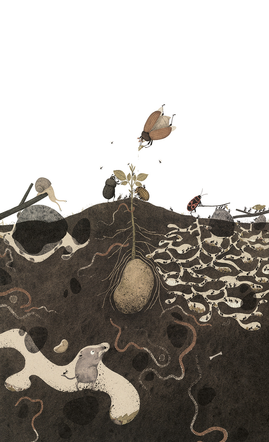 Da wächst doch was!