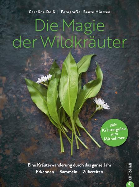 Die Magie der Wildkräuter