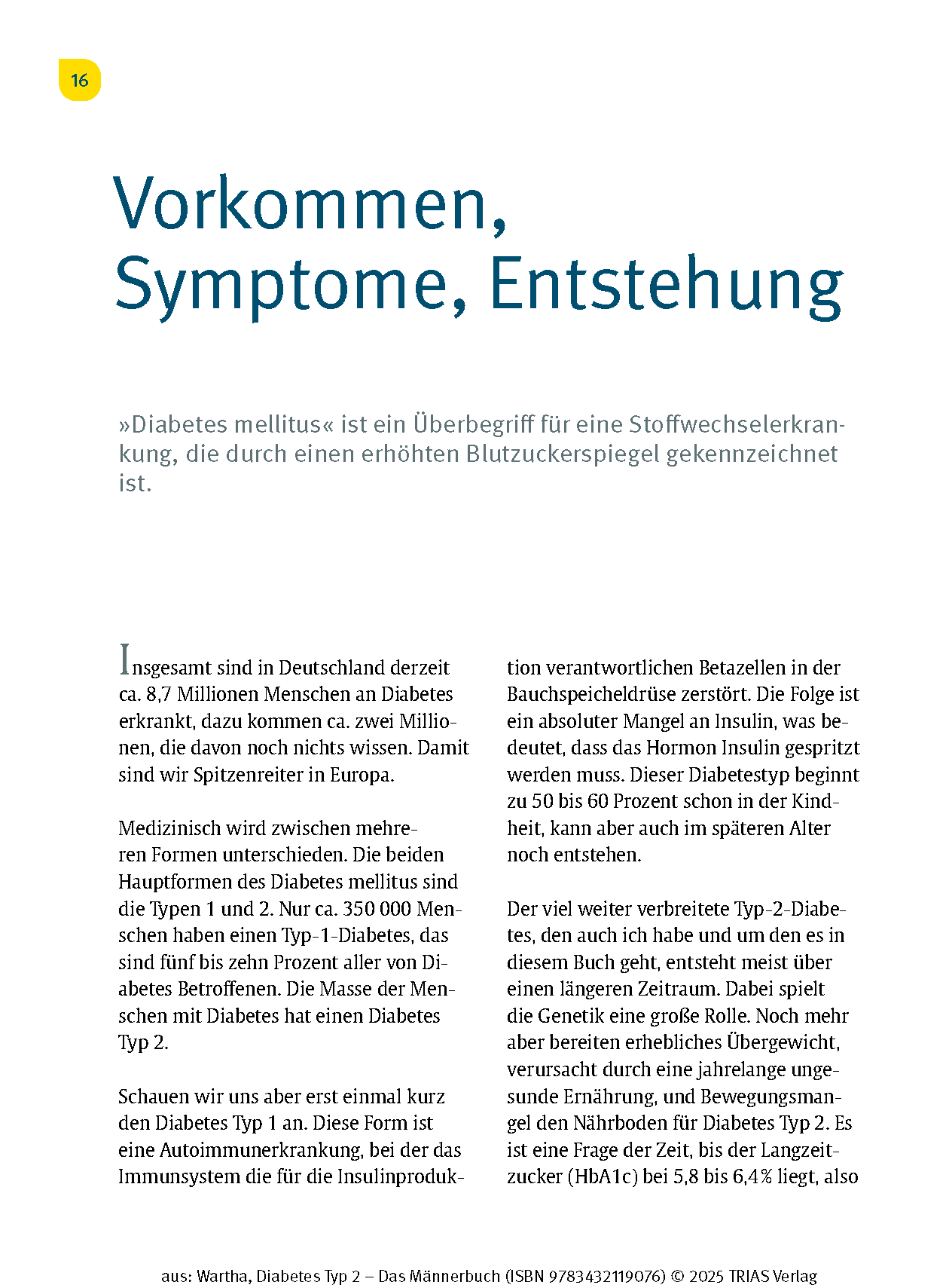 Diabetes Typ 2 - Das Männerbuch