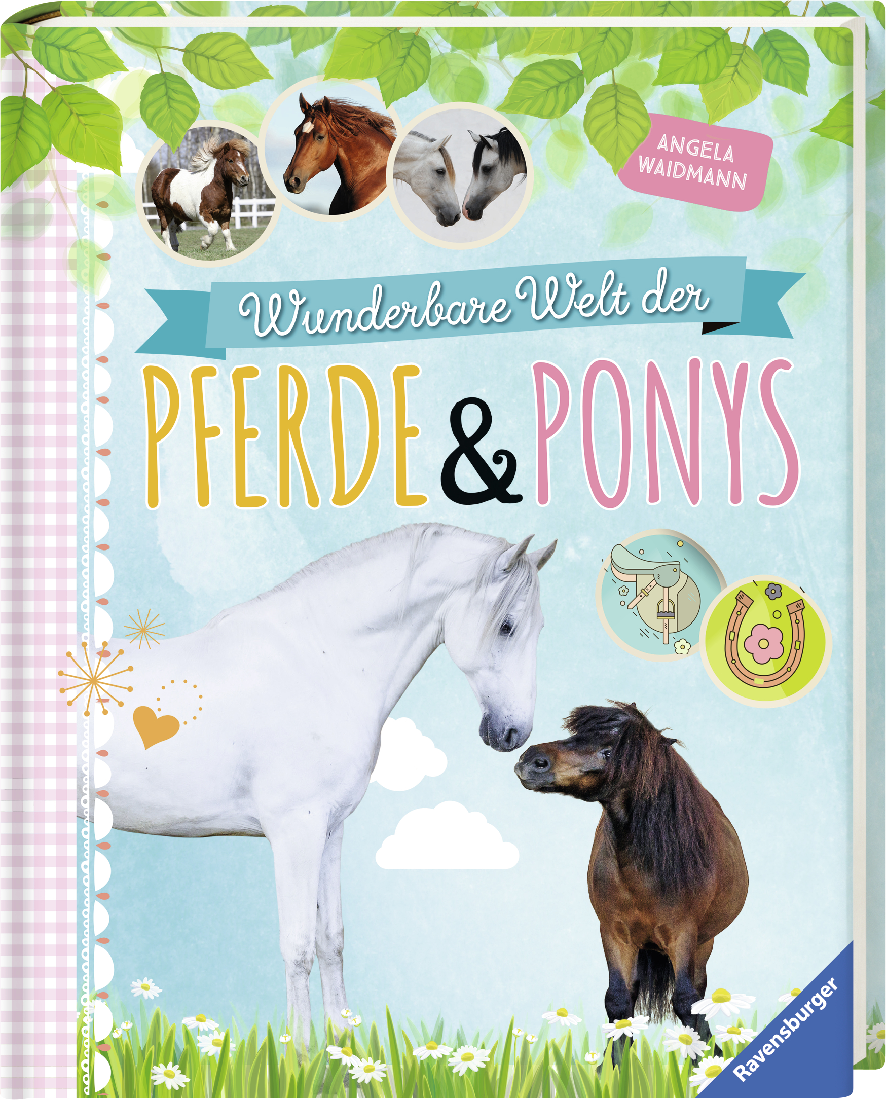 Wunderbare Welt der Pferde und Ponys Wunderbare Welt der Pferde und Ponys