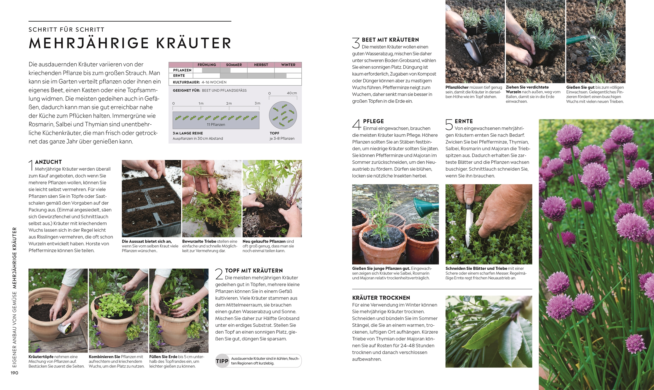 Kleiner Garten - große Ernte Kleiner Garten - große Ernte