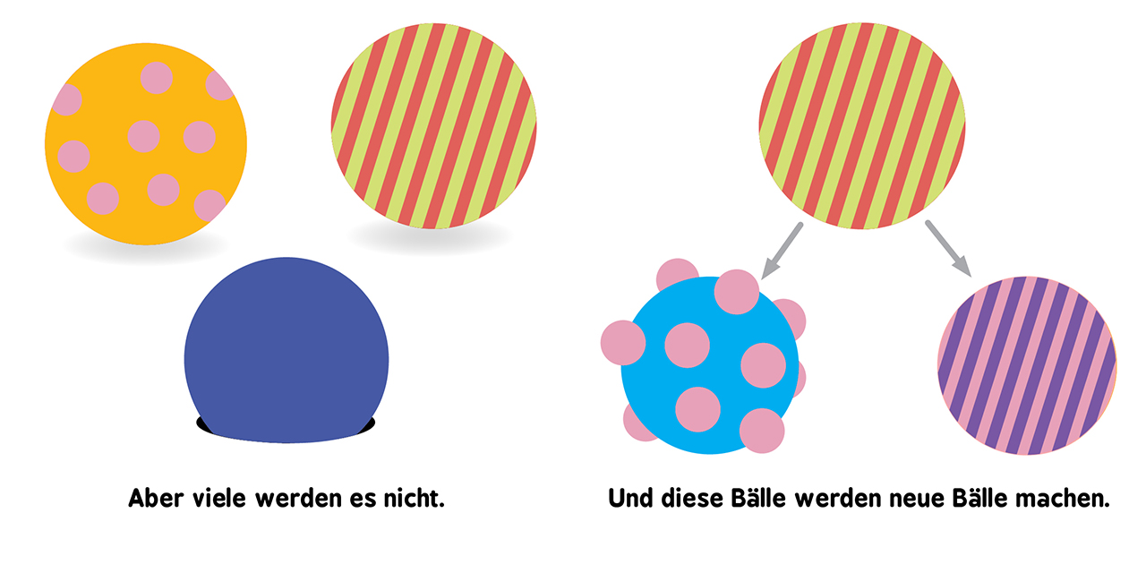Baby-Universität - Evolution für Babys