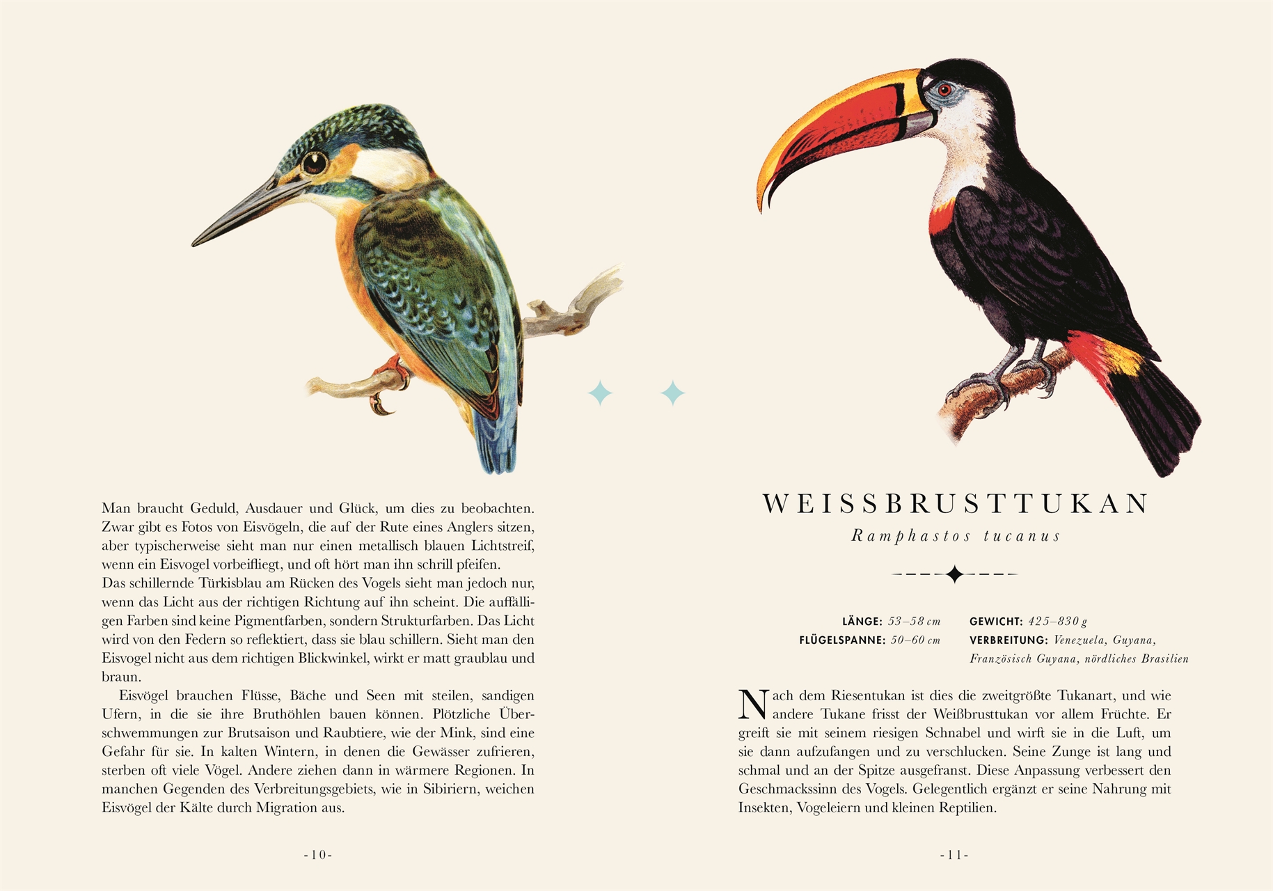 Naturelove. Die 50 schönsten Vögel der Welt